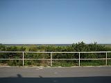 IMG_4318