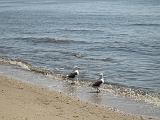 IMG_4379