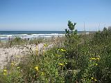 IMG_4281