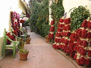 IMG_3711