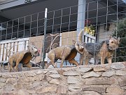 IMG_3780