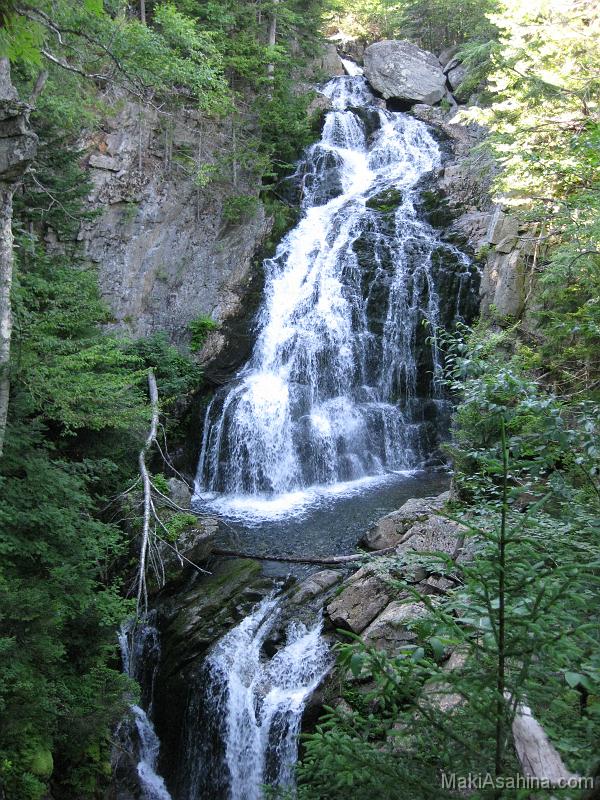 IMG_3950