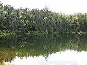  Falls Pond