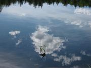  A sky reflected on the Falls Pond