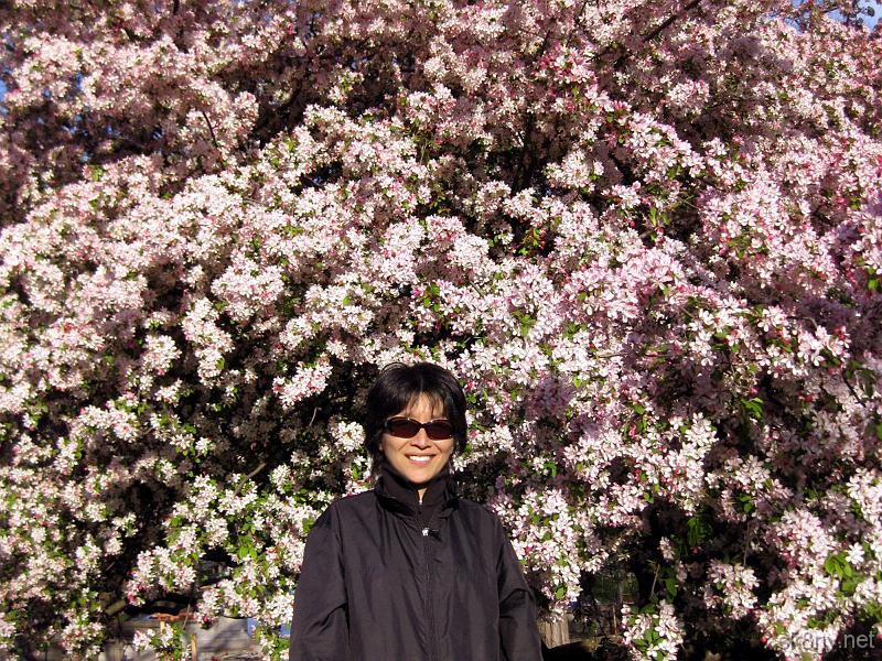 IMG_6032
