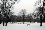  Central Park 01-27-2015