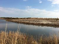  Parvin State Park