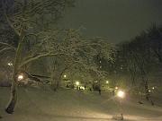  The mecca for sledding.