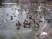 IMG_6478