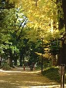 DSCF0155