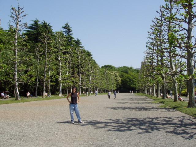P5040029