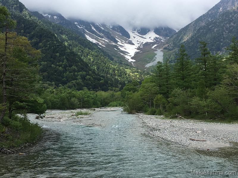 IMG_8293