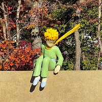  The Little Prince Museum 
