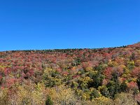  Monongahela National Forrest